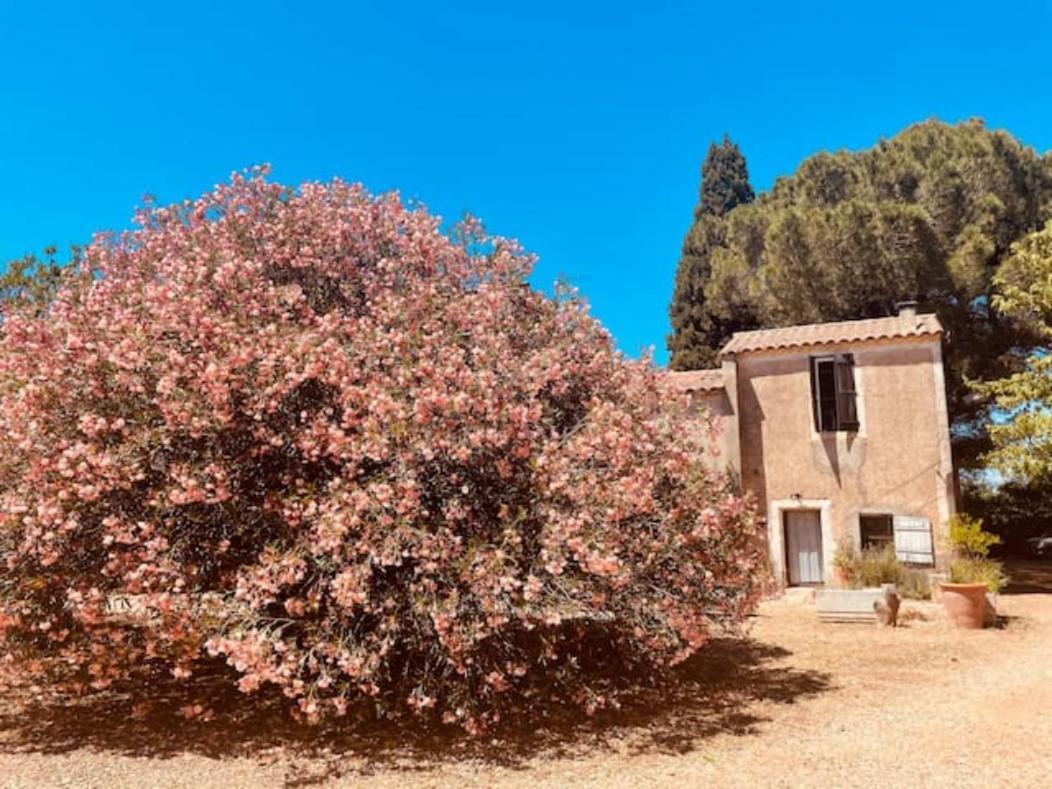 Вилла Casa Cote Sud - Mas Bois Fontaine Ним Экстерьер фото